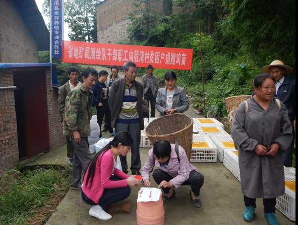 7帮扶单位捐赠鸡苗.png 7帮扶单位捐赠鸡苗.png