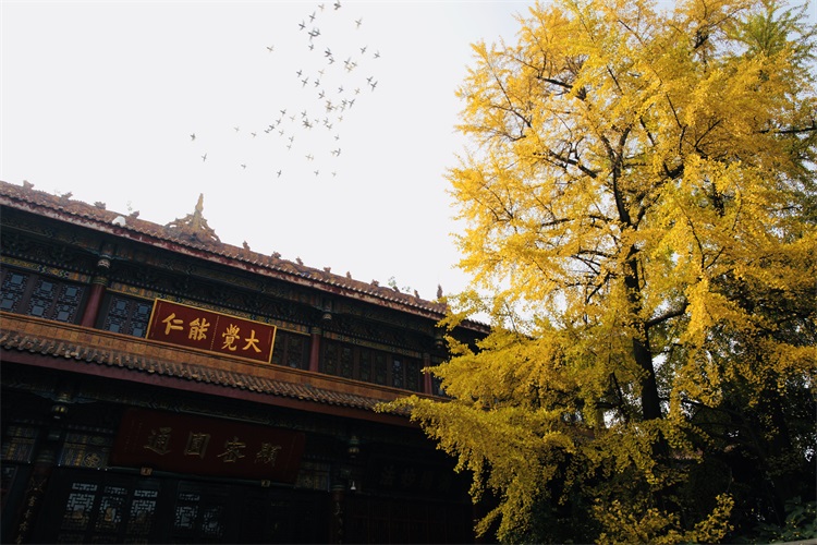 IMG_8831(20191206-153006) - 副本.JPG